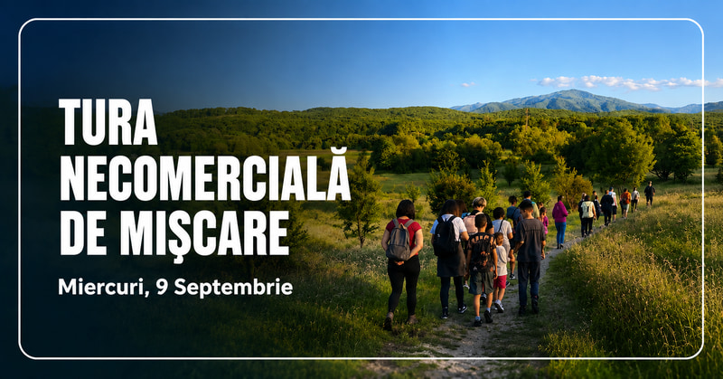 Tura necomerciala de miscare